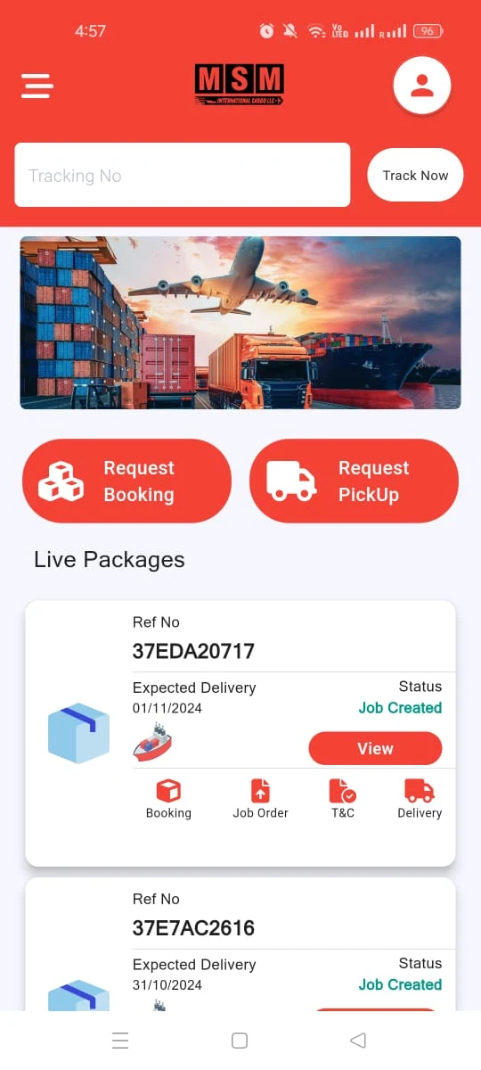 MSM Cargo screenshot