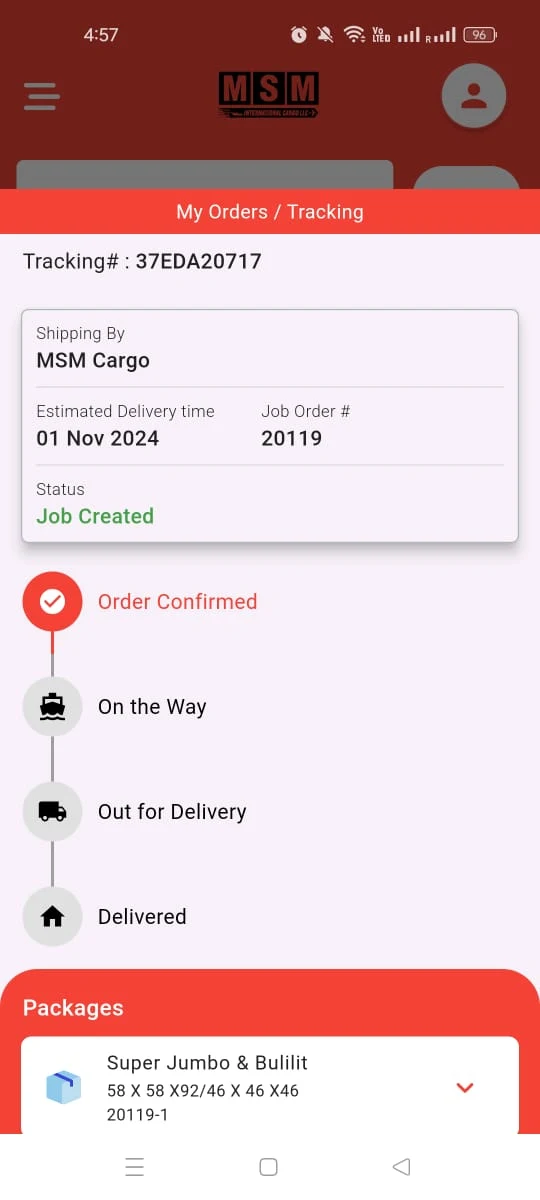MSM Cargo screenshot